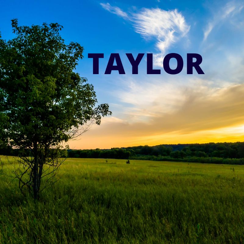 Taylor