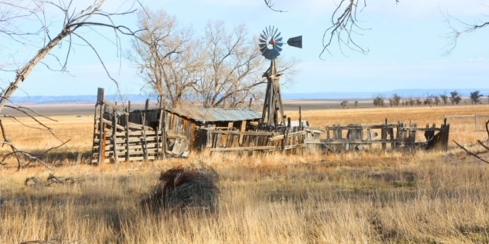 Barn in a secluded area